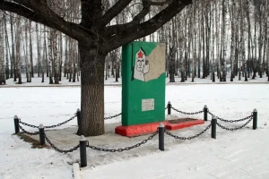 День защитника Отечества