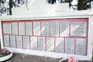 43.jpg