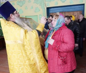 25.jpg