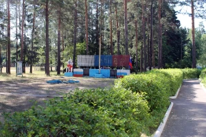 14.jpg