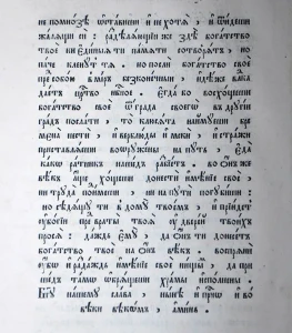 121.jpg
