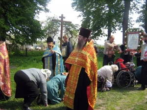 62.jpg